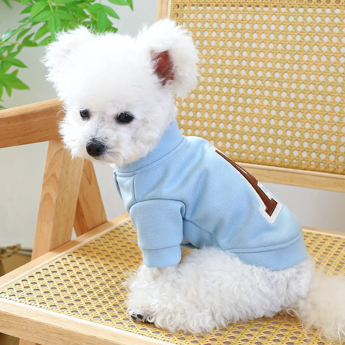 ๐พ Felpa per Cani e Gatti
