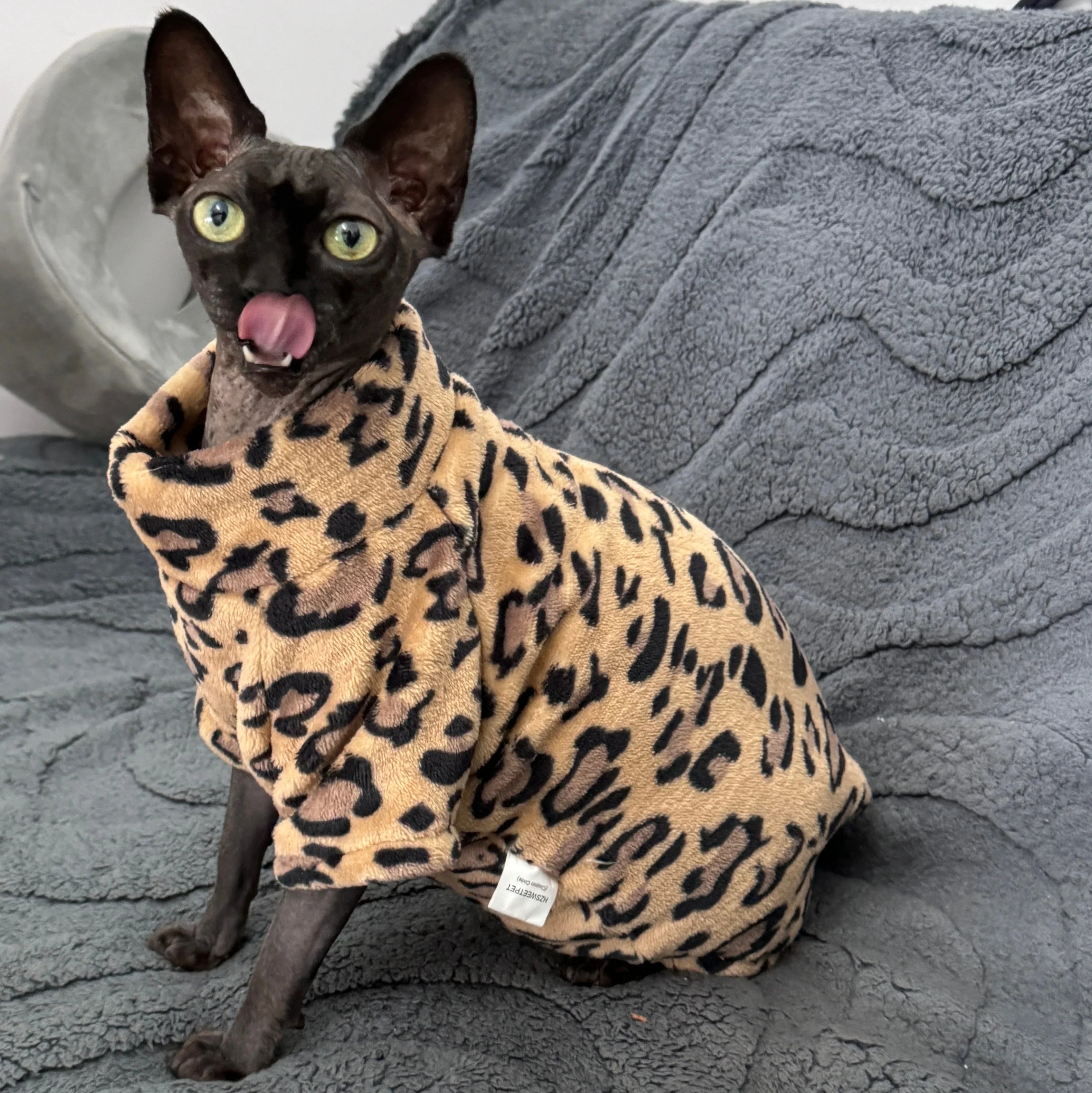 Vestiti per gatti