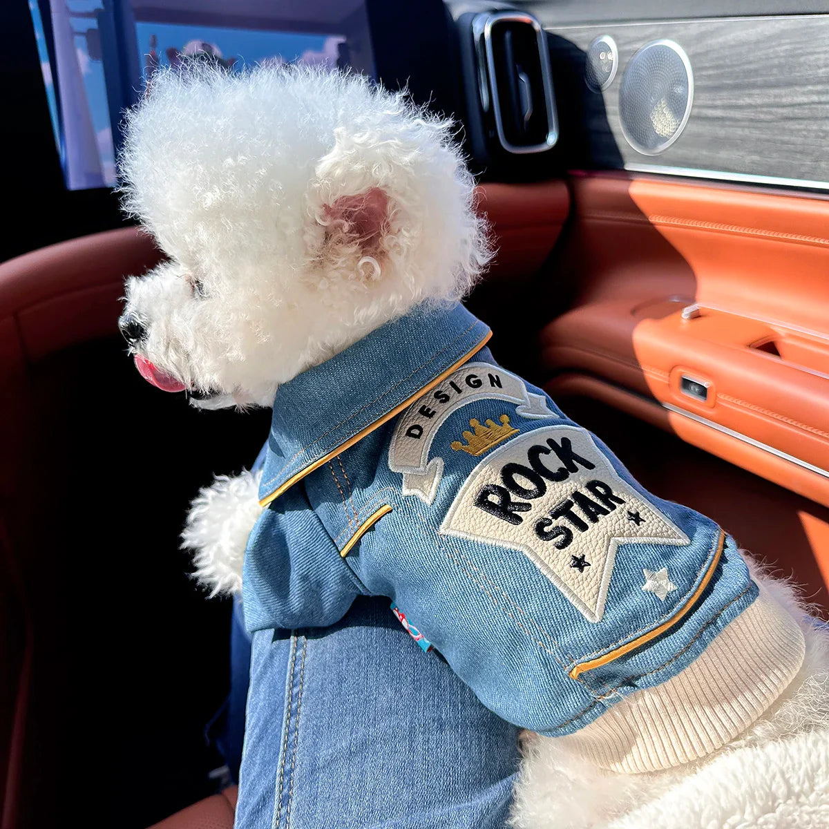 Vestiti per cani