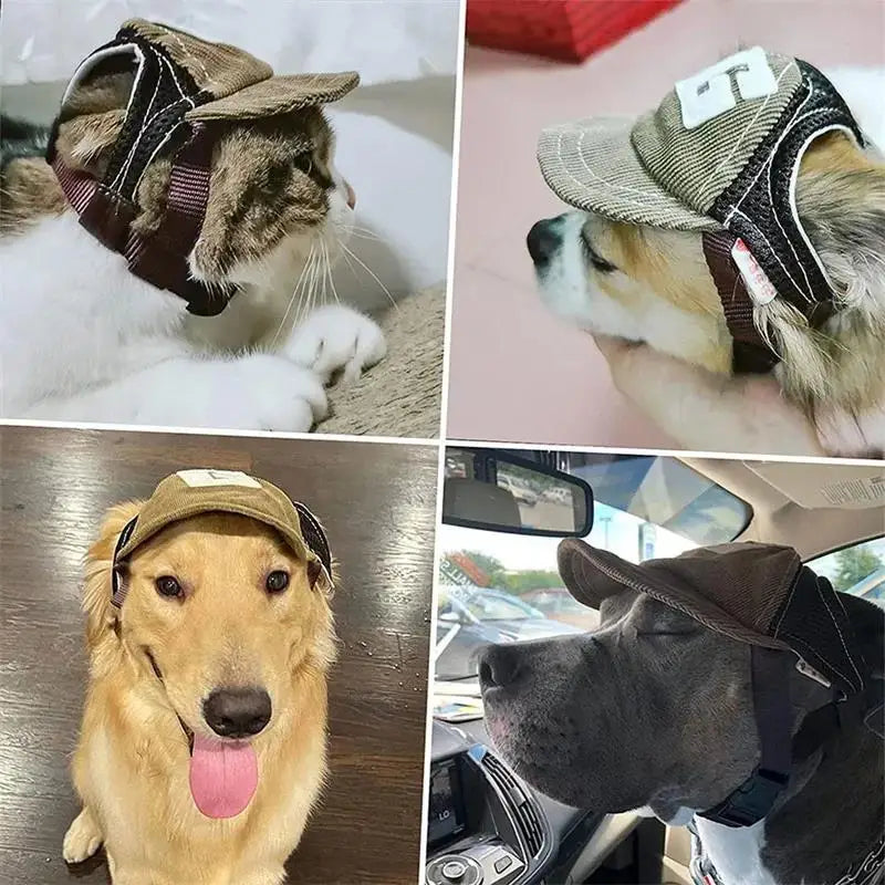 🐾 Cappellino da Sole in Velluto a Coste per Cani