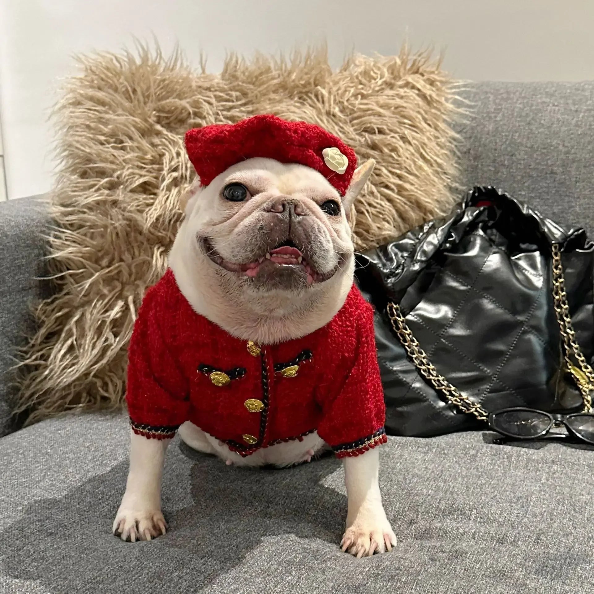 🧥🐾 Cappottino a Quadri in Cotone per Cani – Stile Classico e Caldo