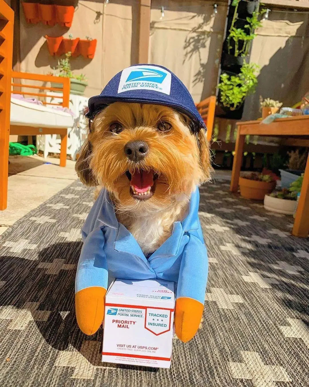 🎭 Costume Divertente per Cani e Gatti – Cosplay e Feste