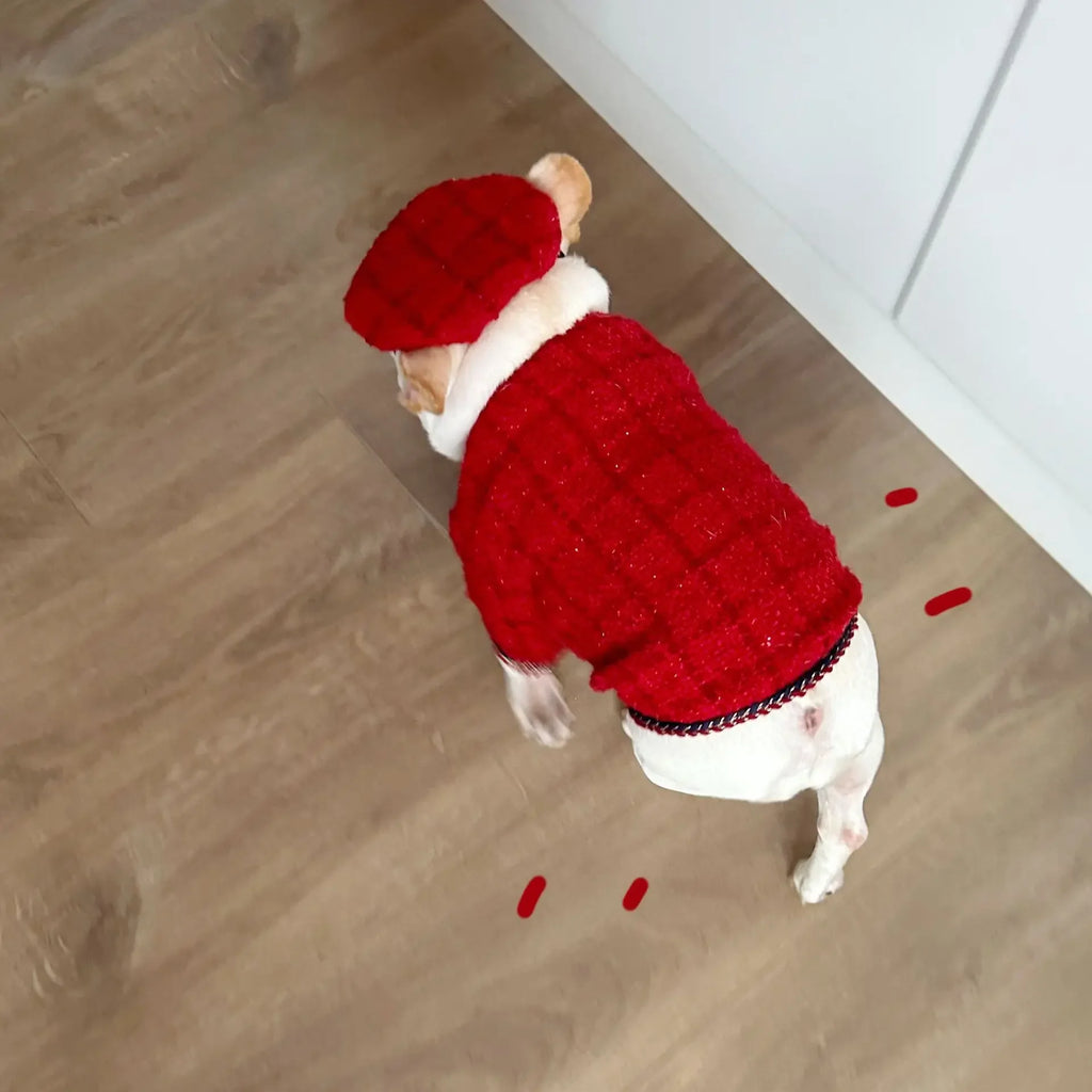 🧥🐾 Cappottino a Quadri in Cotone per Cani – Stile Classico e Caldo