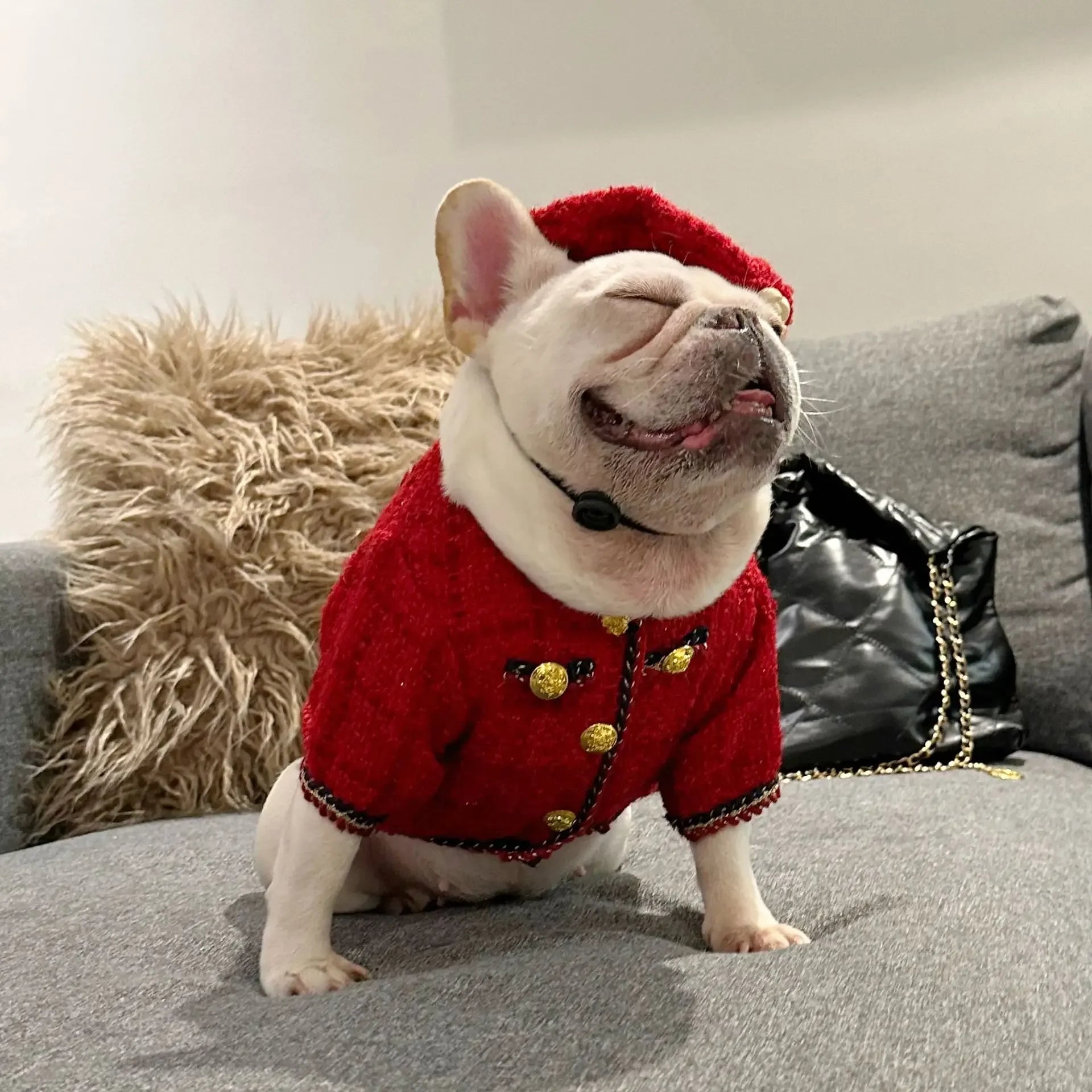 🧥🐾 Cappottino a Quadri in Cotone per Cani – Stile Classico e Caldo