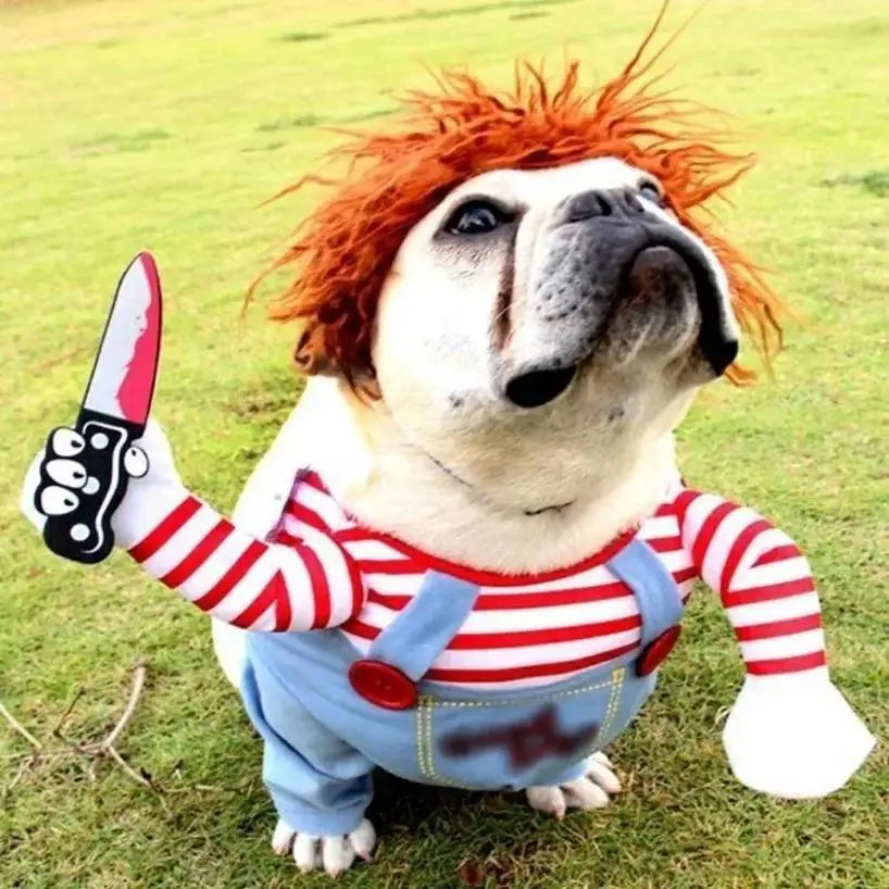 🎭 Costume Divertente a Righe per Cani – Cosplay con Accessori