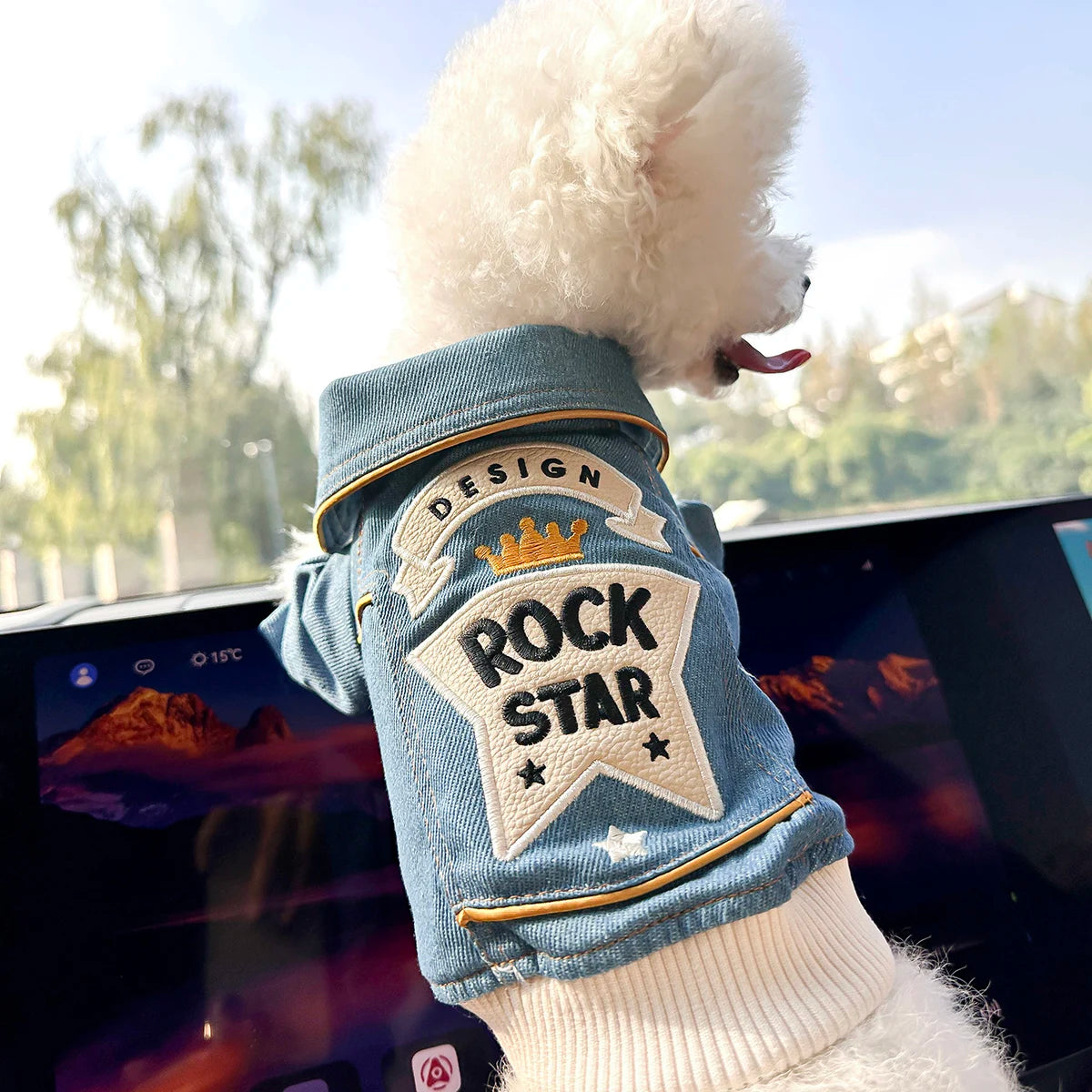 🐾 Rock Embroidery – Giacca per cani