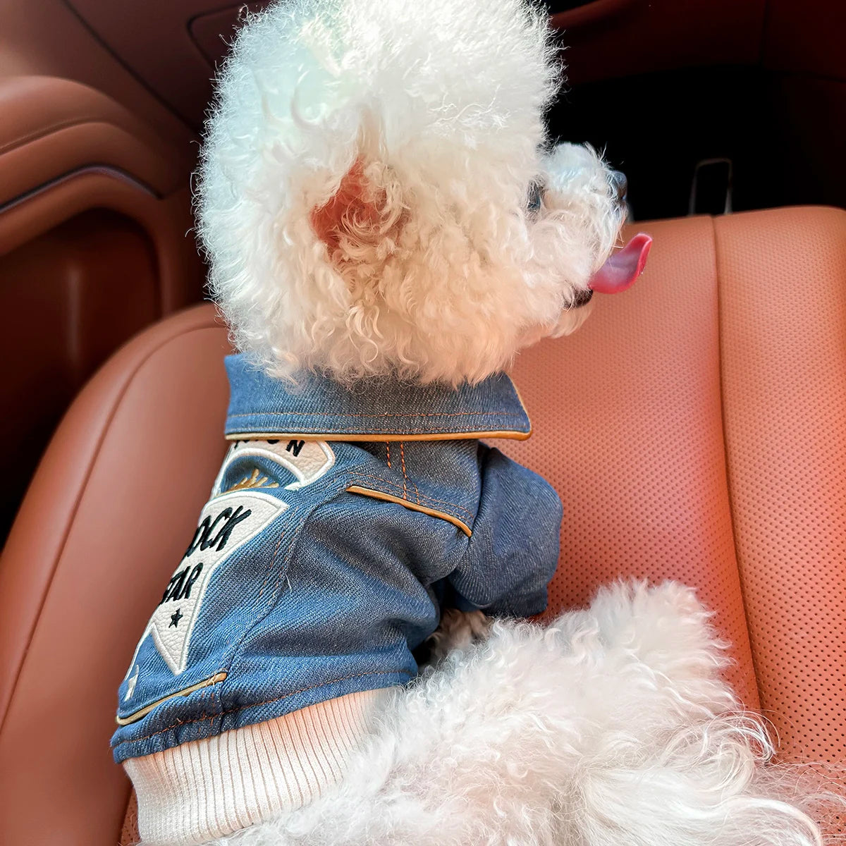🐾 Rock Embroidery – Giacca per cani