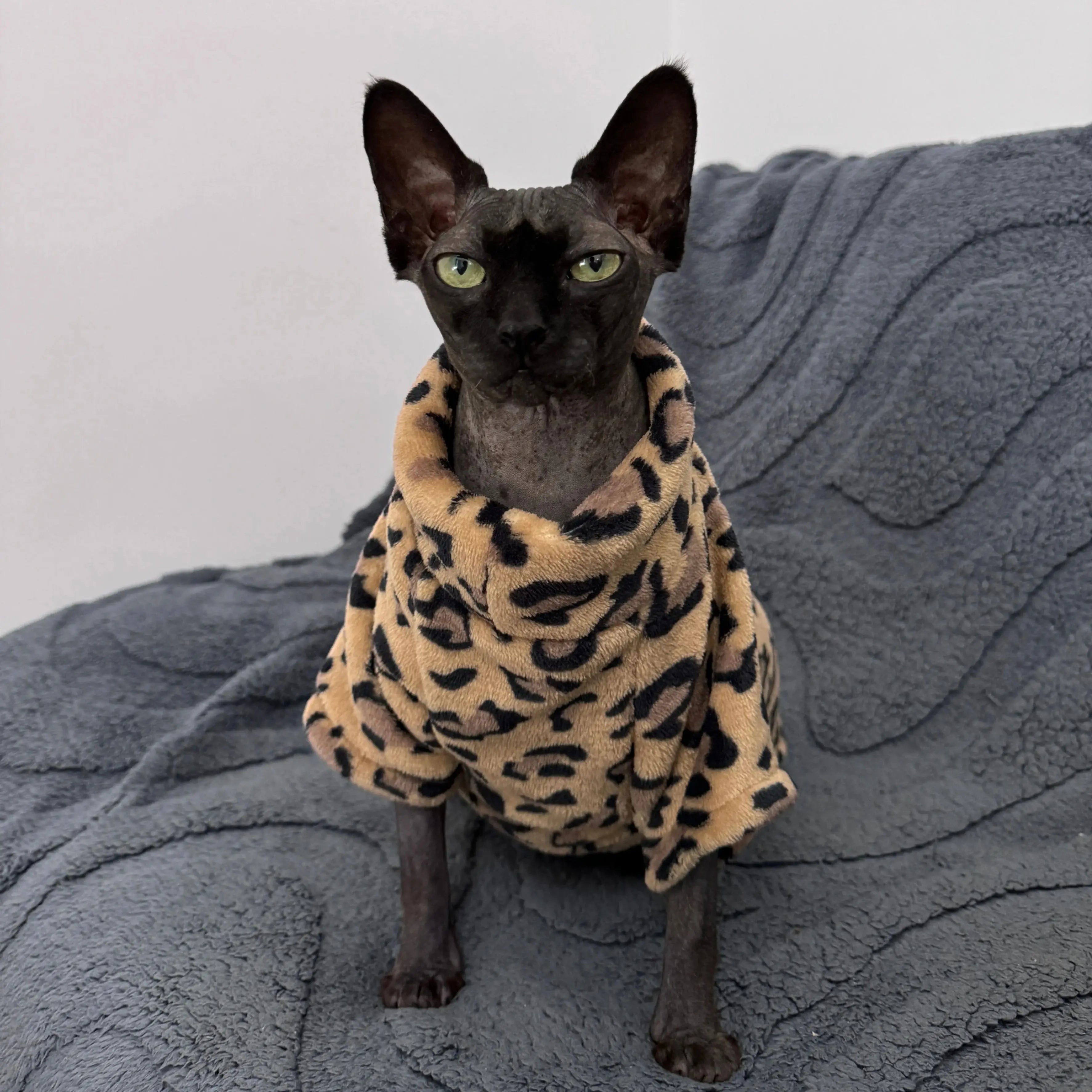 🧥 Giacca in Cotone per Gatti – Stile Fashion