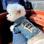 🐾 Rock Embroidery – Giacca per cani