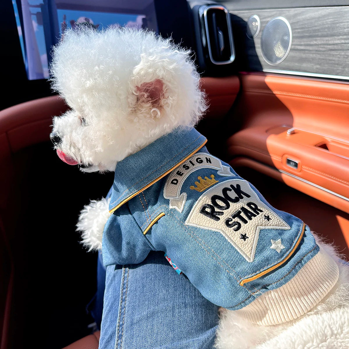 🐾 Rock Embroidery – Giacca per cani