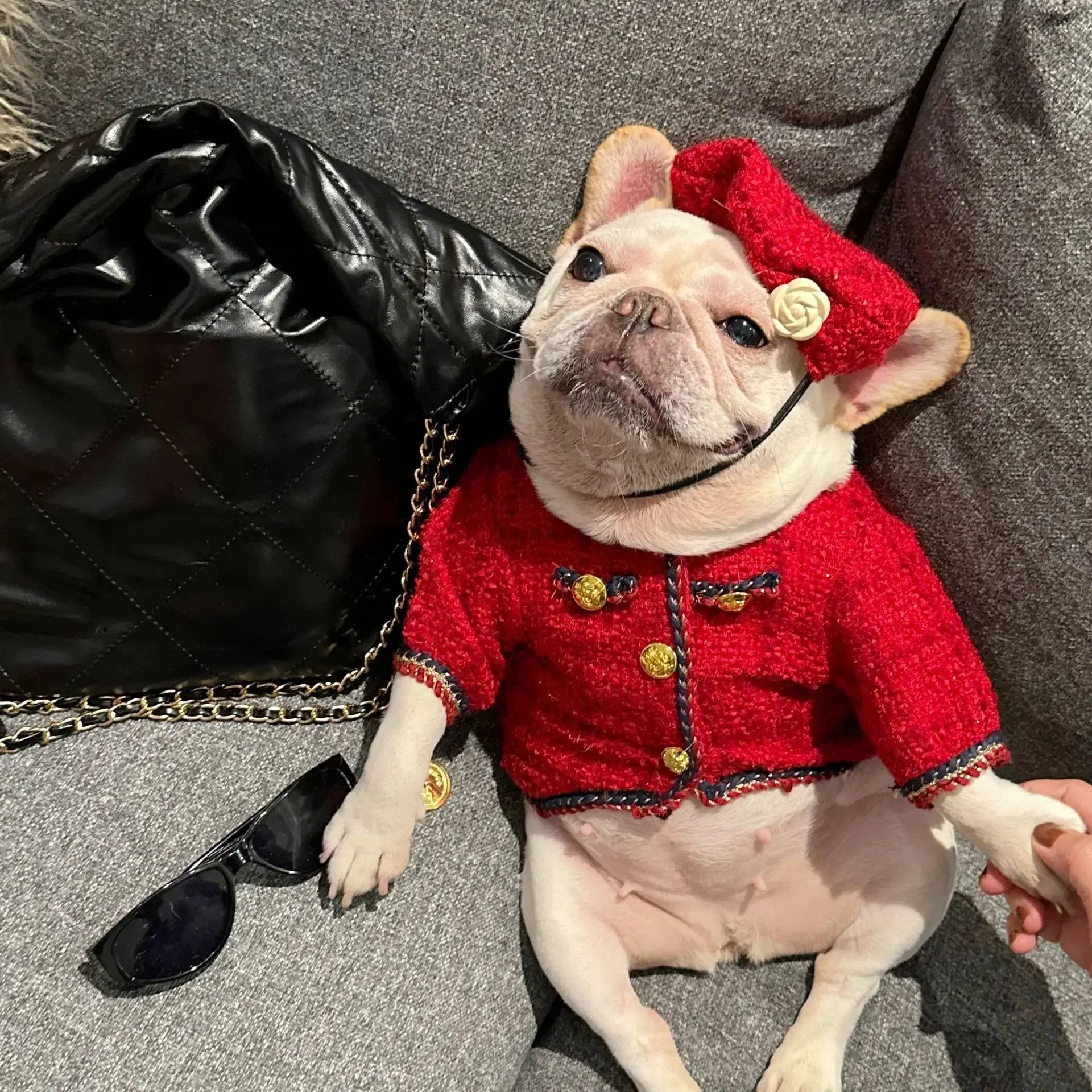 🧥🐾 Cappottino a Quadri in Cotone per Cani – Stile Classico e Caldo