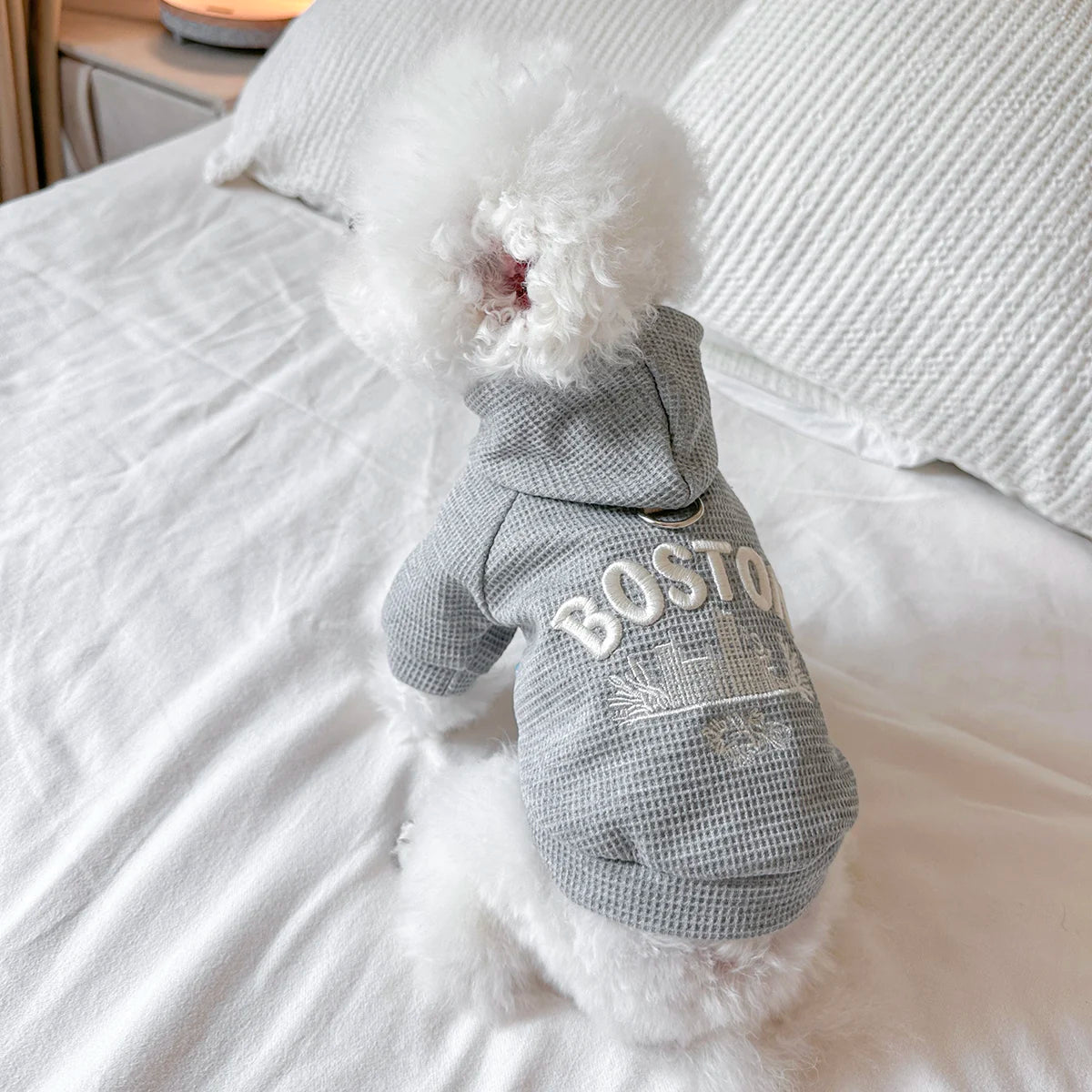 👕🐾 Felpa per Cani