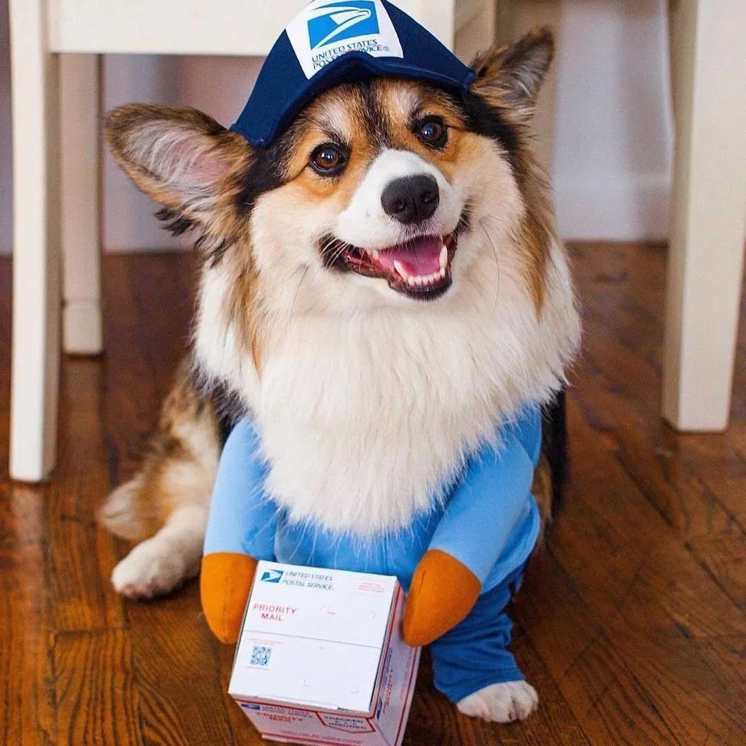 🎭 Costume Divertente per Cani e Gatti – Cosplay e Feste
