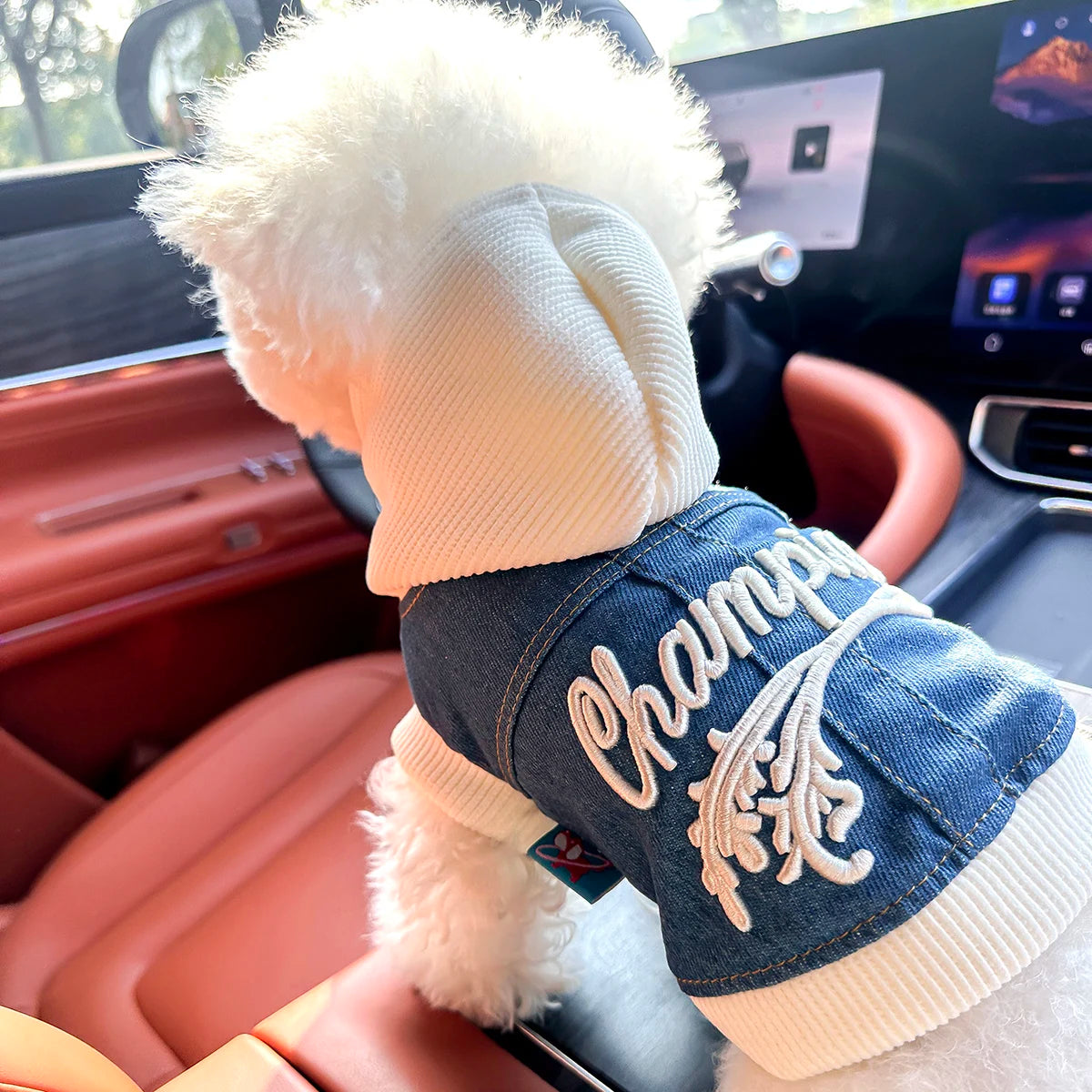 👕🐶 Felpa per Cani