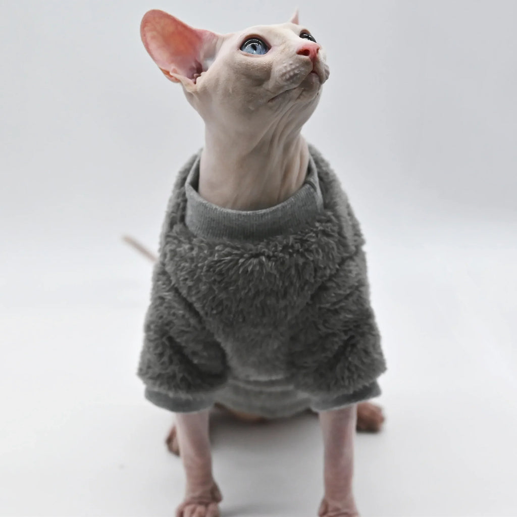 🐾Cappotto / Giacca Invernale per Gatti