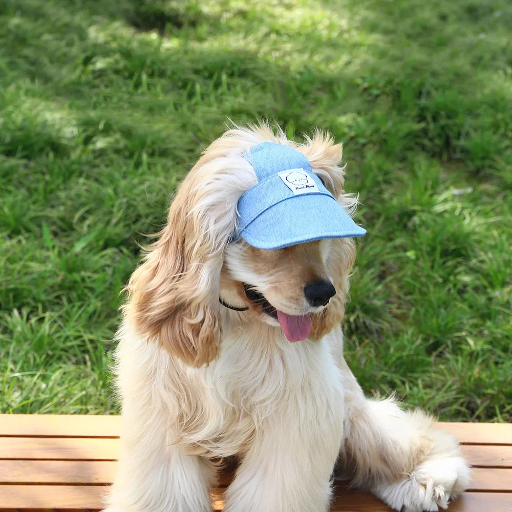 🐾 Cappellino in Jeans per Cani