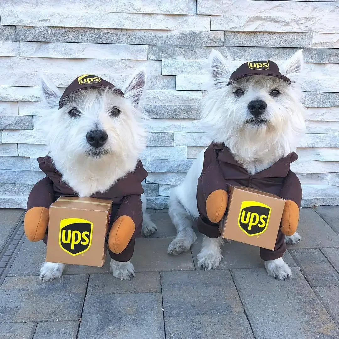 🎭 Costume Divertente per Cani e Gatti – Cosplay e Feste