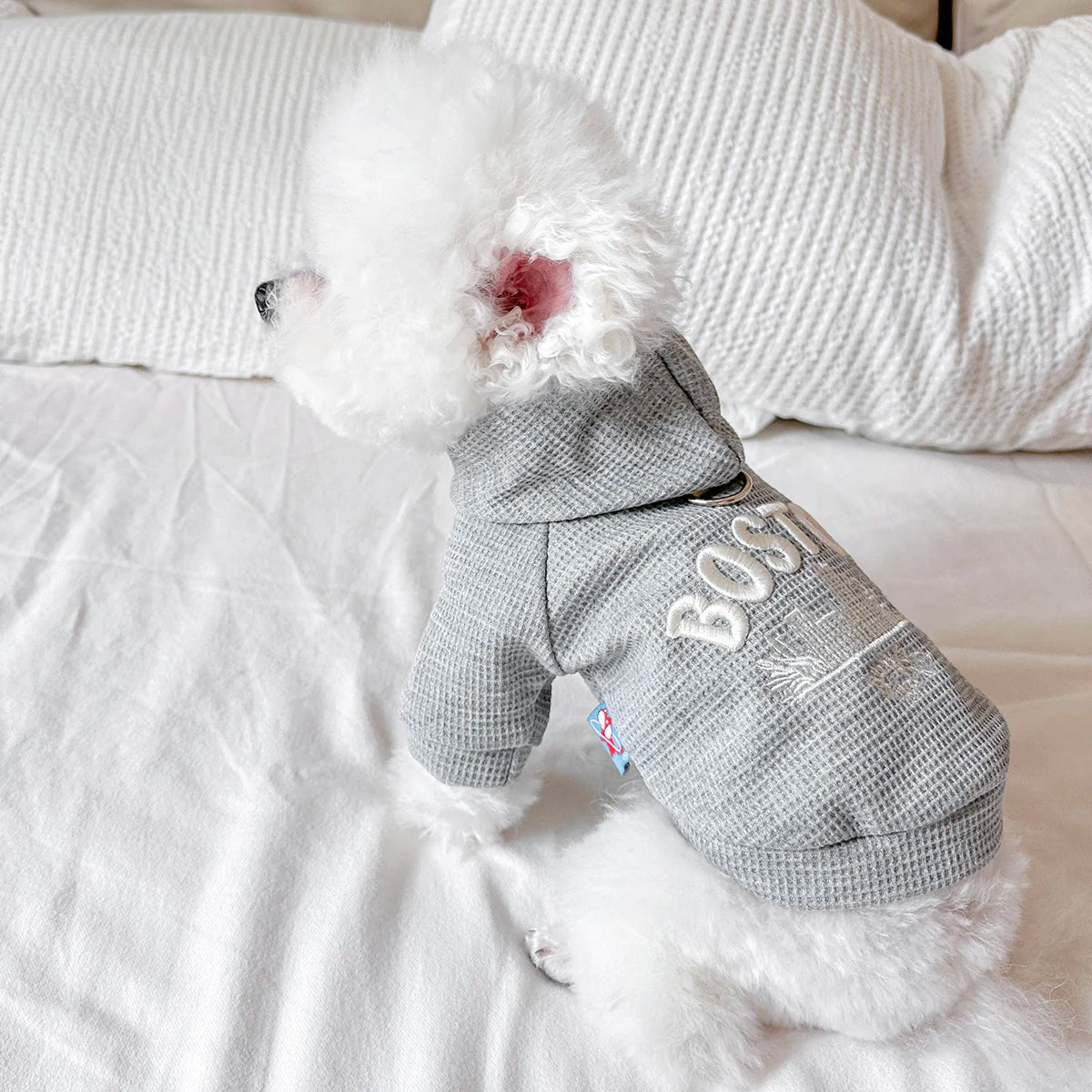 👕🐾 Felpa per Cani