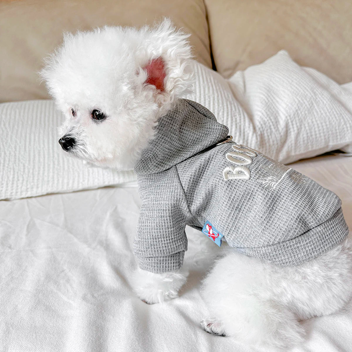👕🐾 Felpa per Cani