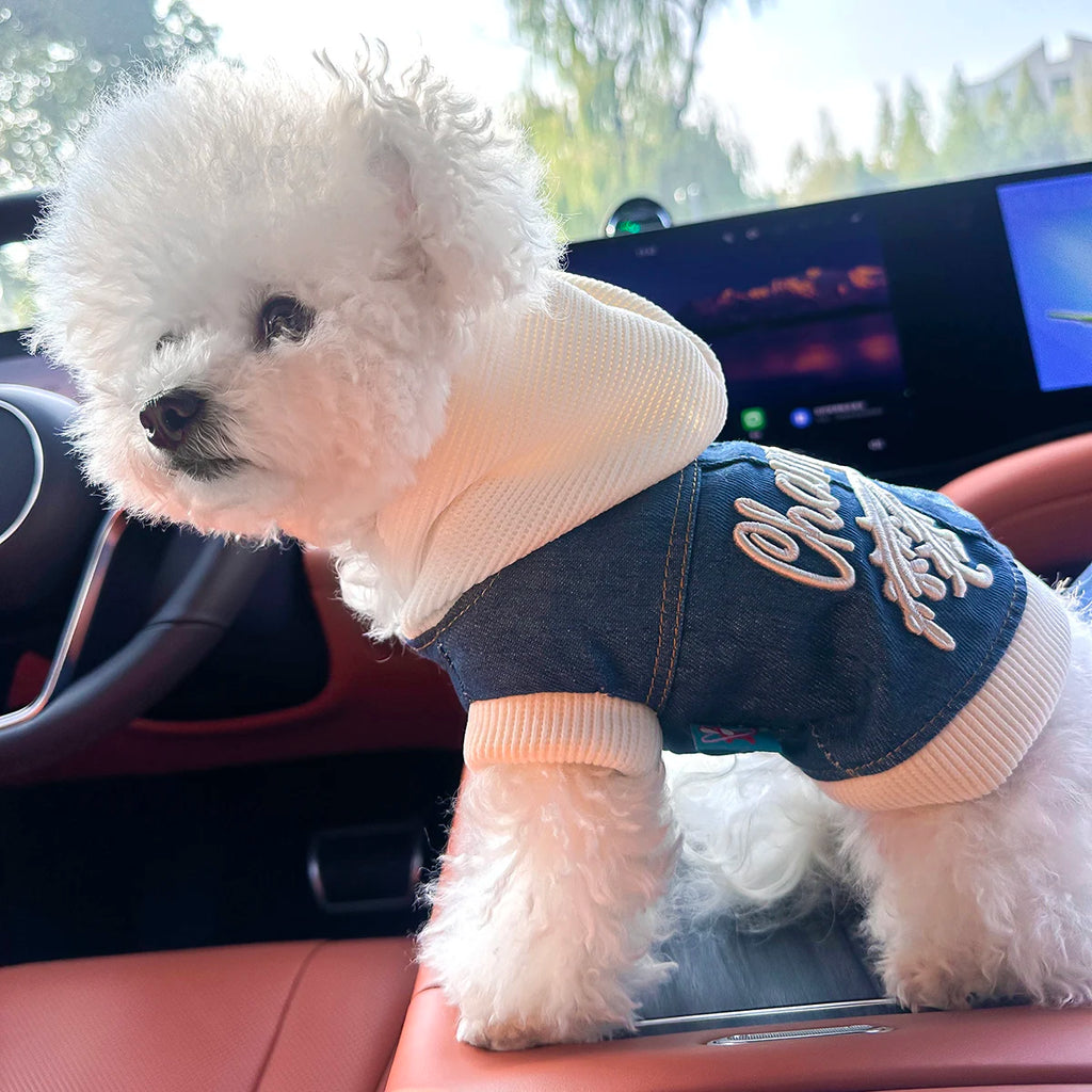 👕🐶 Felpa per Cani
