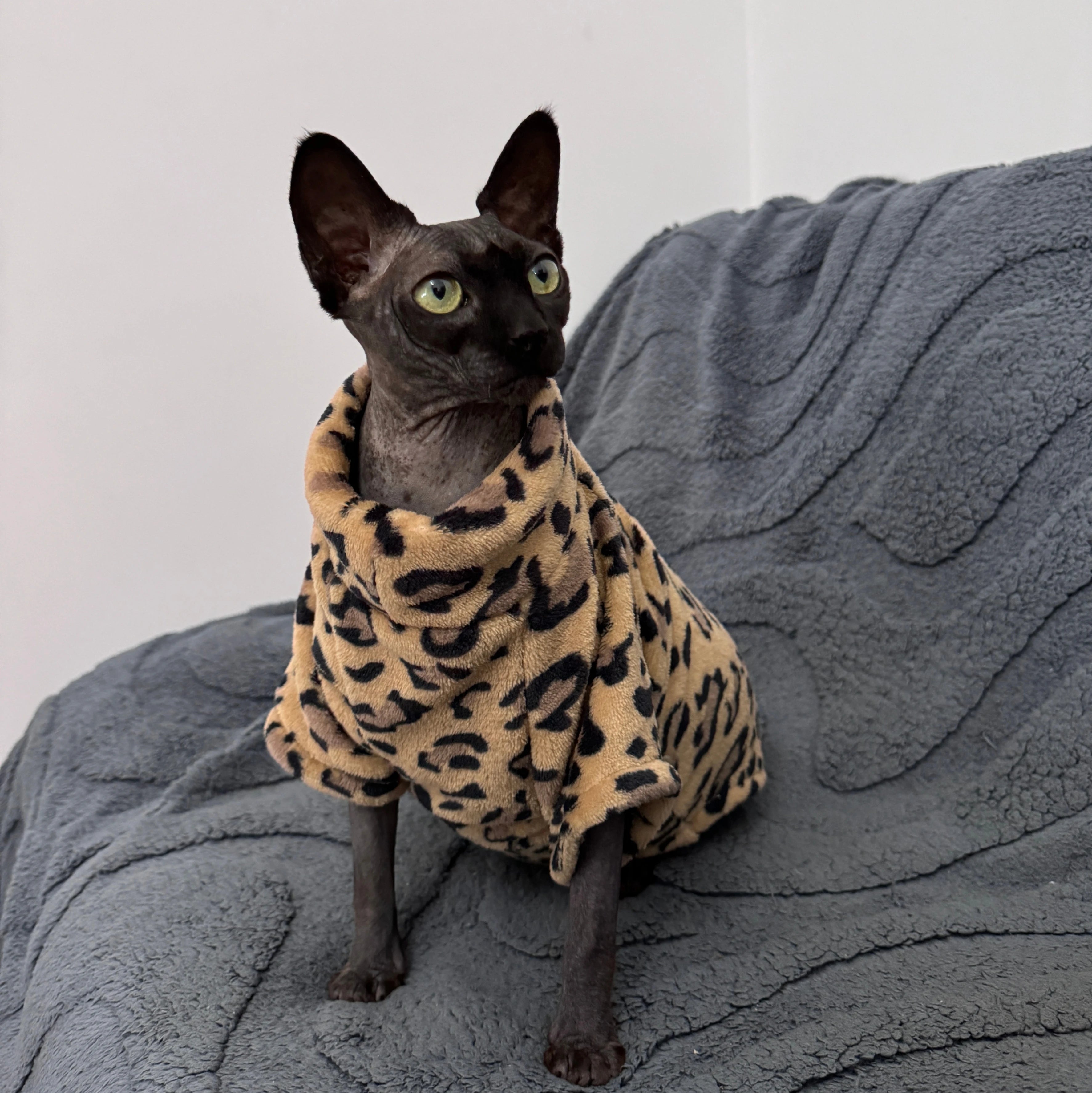 🧥 Giacca in Cotone per Gatti – Stile Fashion