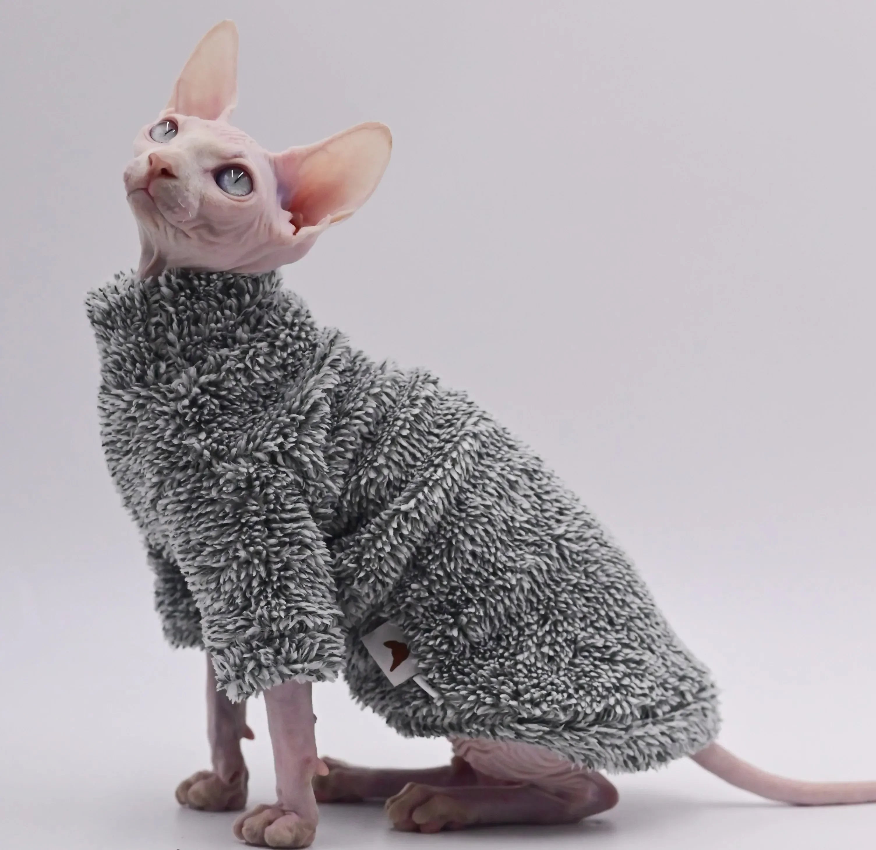 🐾Cappotto / Giacca Invernale per Gatti