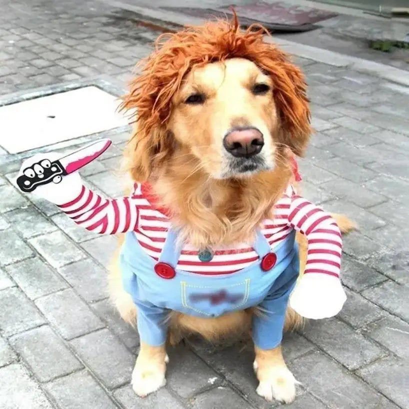 🎭 Costume Divertente a Righe per Cani – Cosplay con Accessori