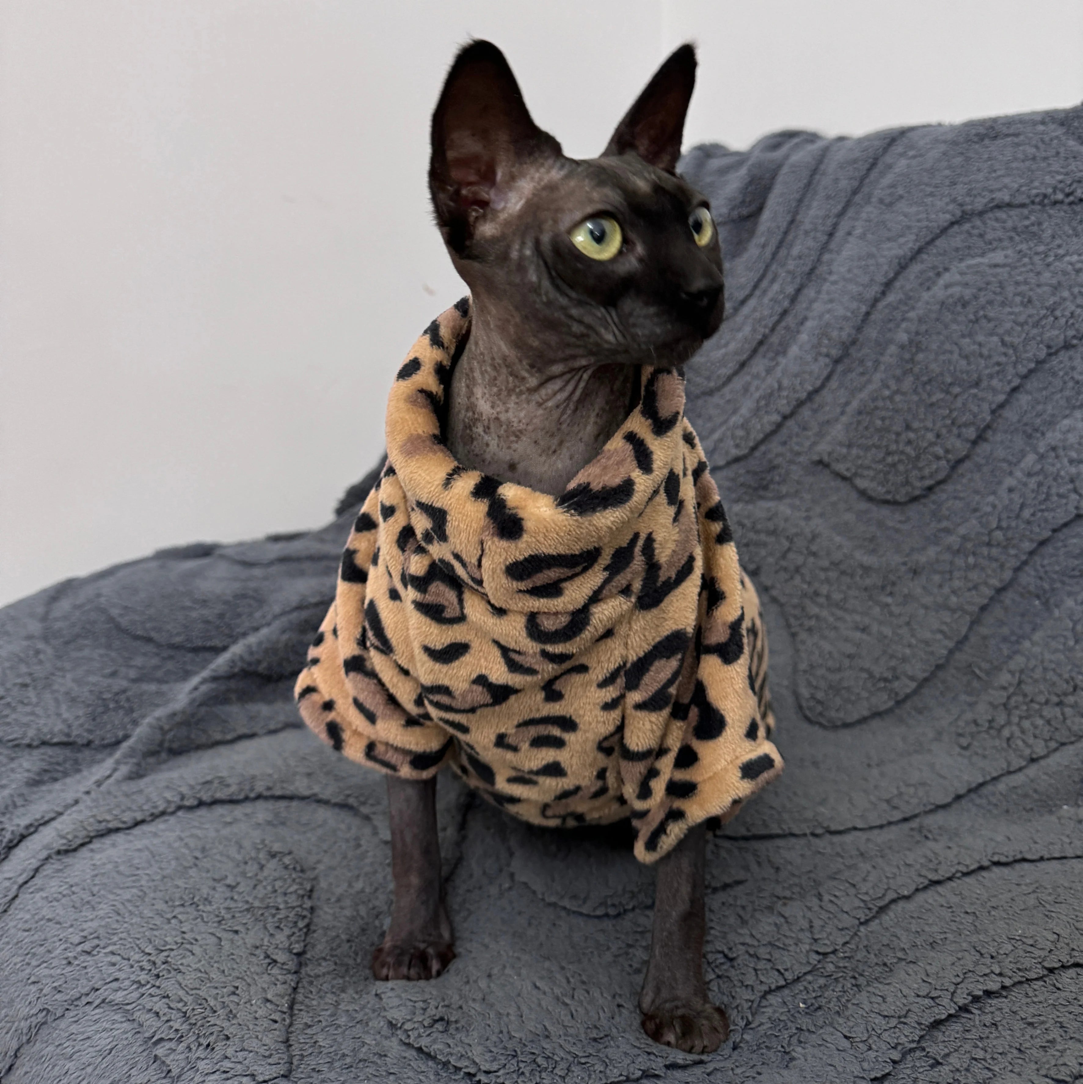 🧥 Giacca in Cotone per Gatti – Stile Fashion