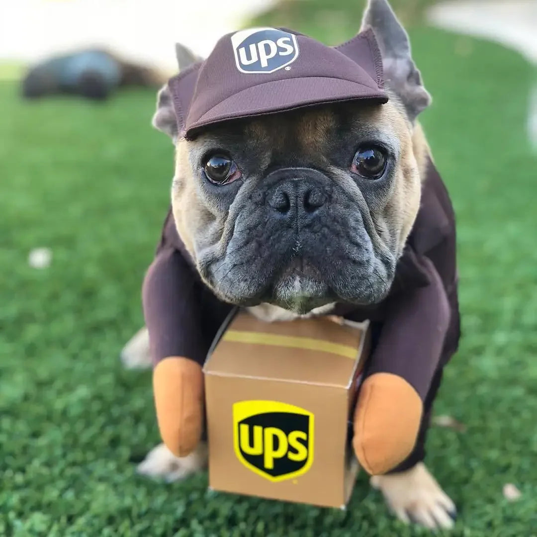 🎭 Costume Divertente per Cani e Gatti – Cosplay e Feste